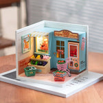 Miniature House - Daily VC Fruit Store